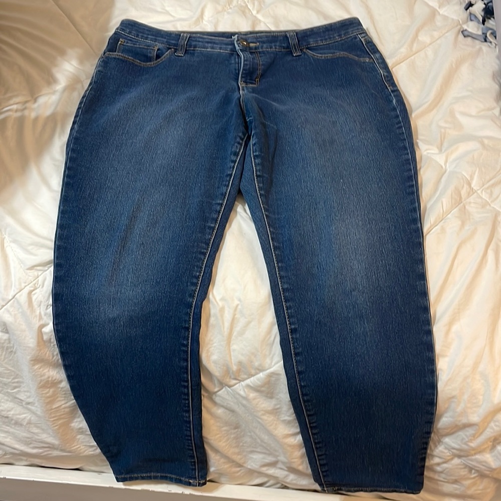 Curvy Blue Denim Jeans